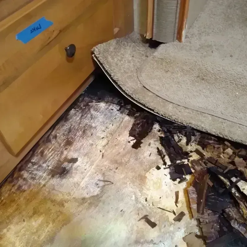 Wood Floor Water Damage in Woodville, CA